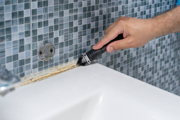 Best Mold Damage Repair  in Cascade Chipita Park, CO